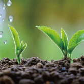 Producing Green Products And Sharing Green Life  With Society